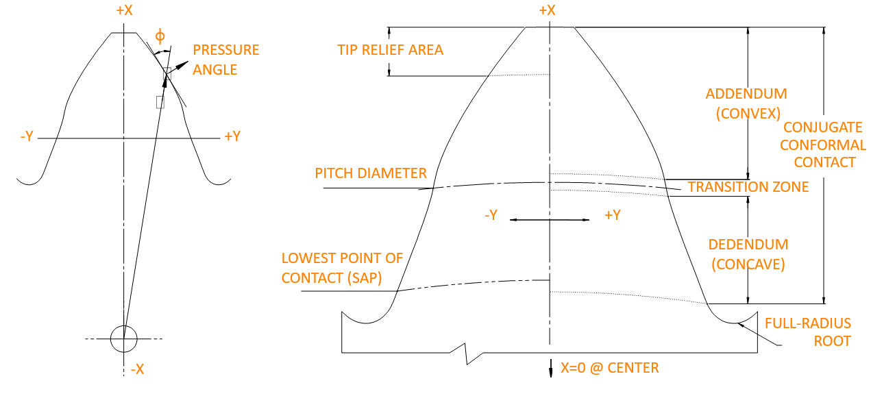 Convoloid tooth definition drawing: convex addendum, transition zone at the pitch diameter, concave dedendum, full-radius root, tip relief area, described in X-Y coordinates